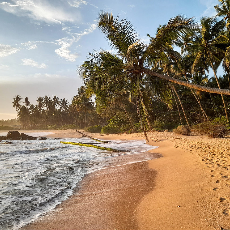  Kerala: God’s Own Country