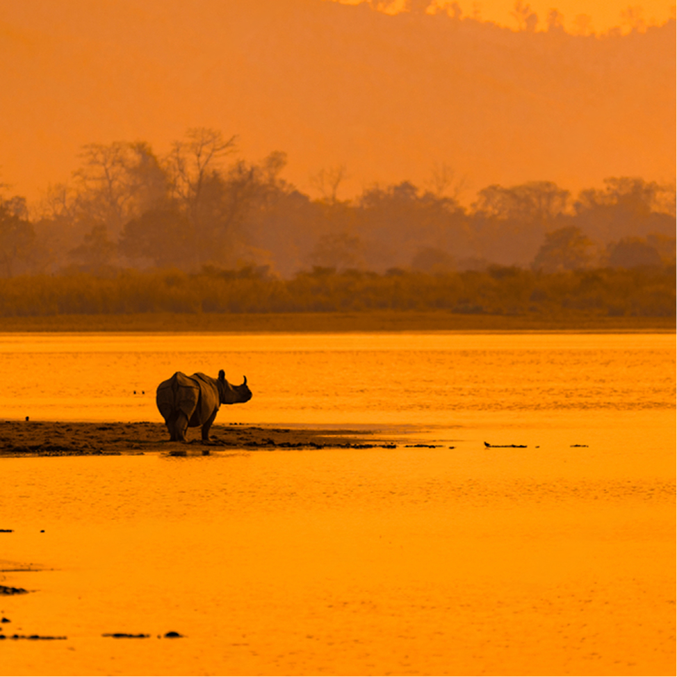 North East India: Brahmaputra & Beyond