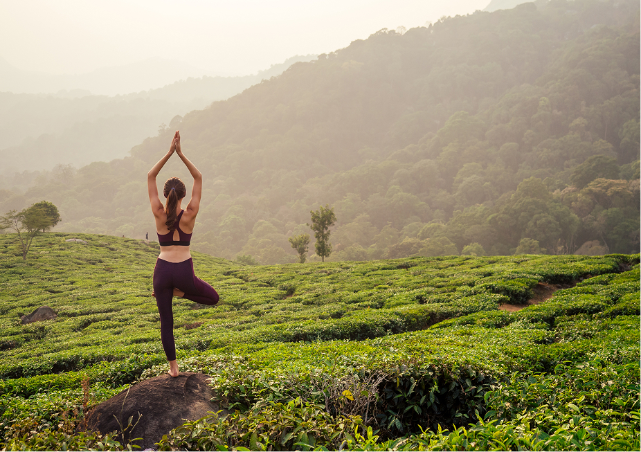 Munnar’s Wild Edges and Quiet Trails _ Mist, meadows, and a world steeped in green
