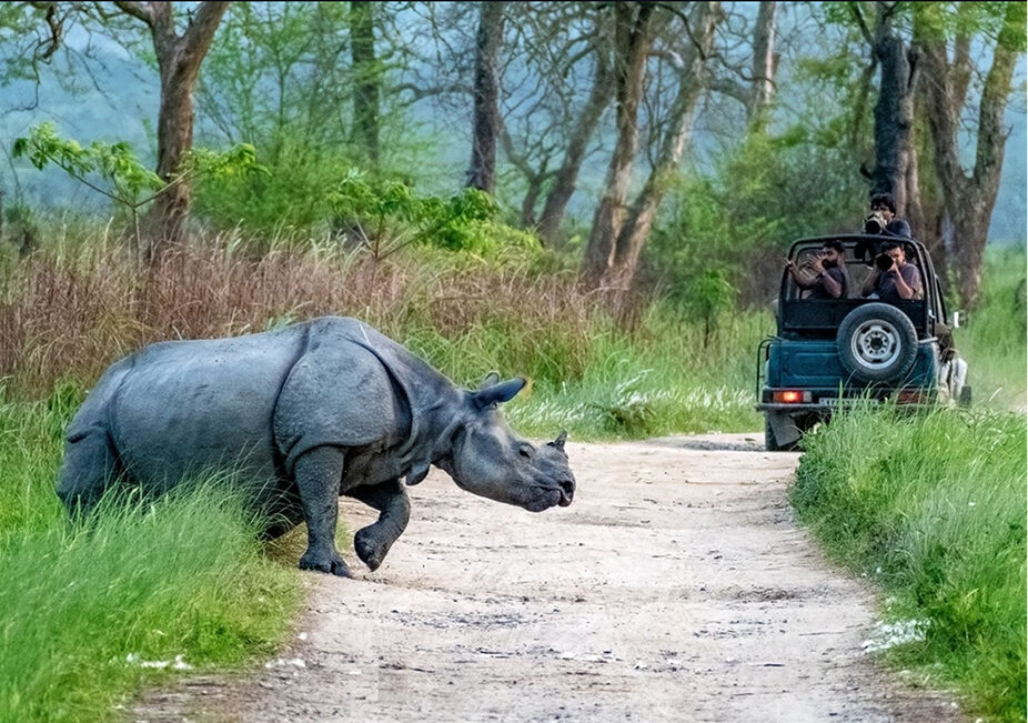 To Kaziranga _ Into the Floodplains